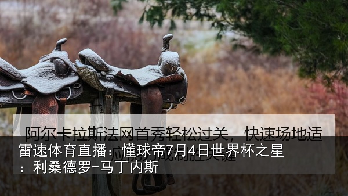 雷速体育直播:懂球相关情况:利桑德罗-马丁内斯
